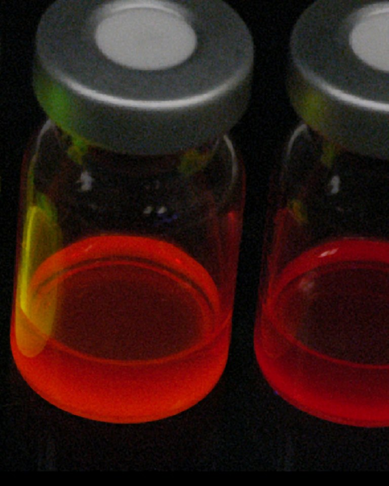 Quantum dot suspensions fluorescing under illumination