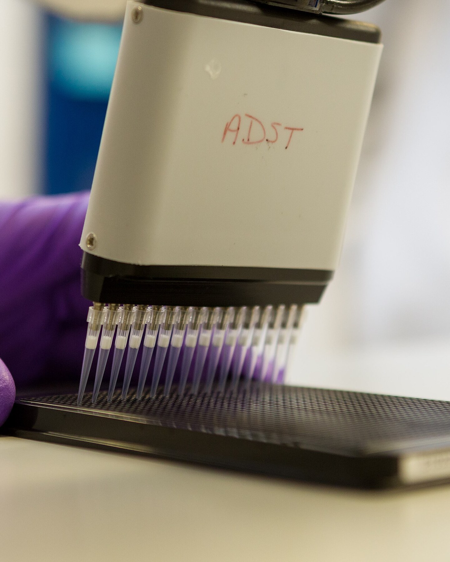 Laboratory assay plate used in diagnostic testing