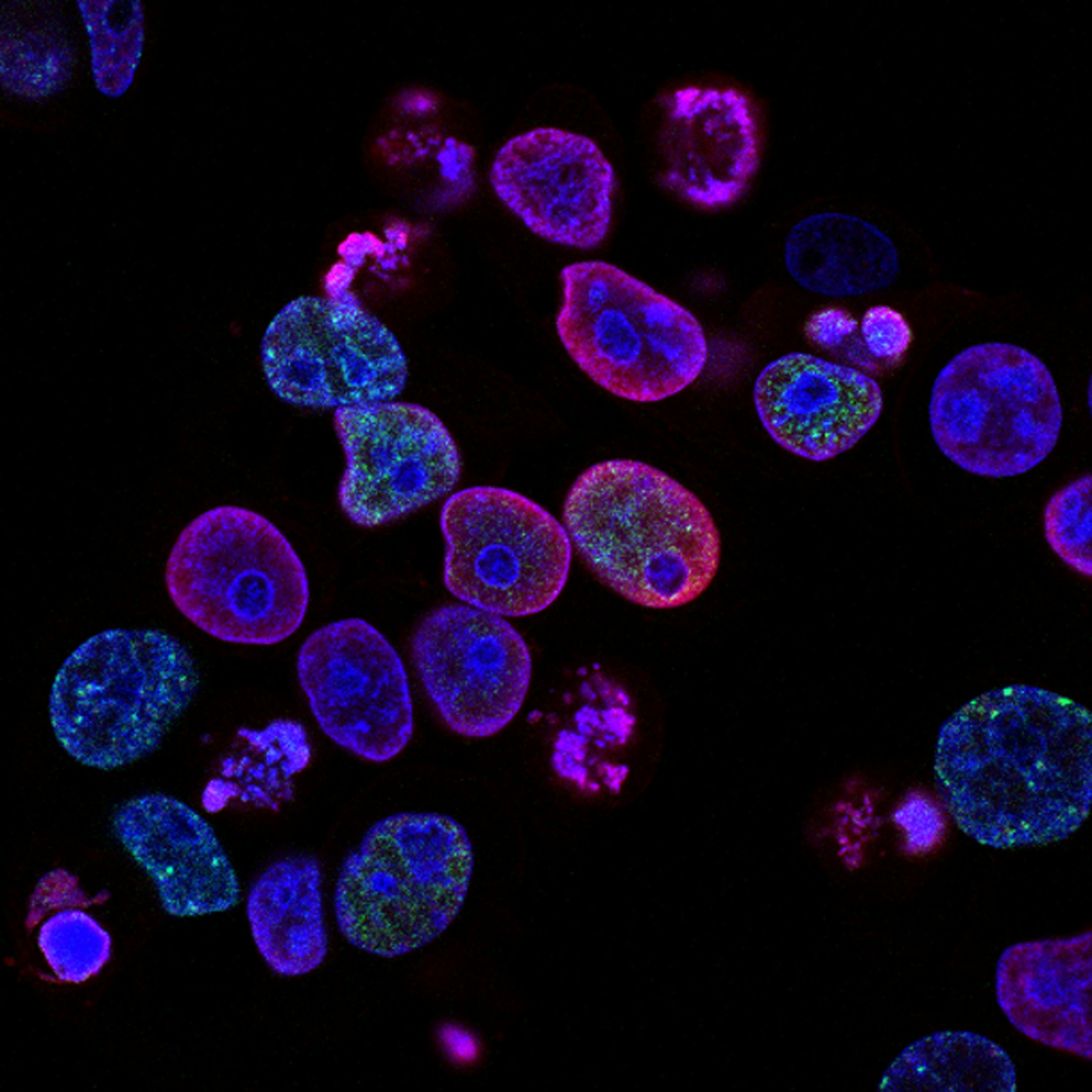 NanoDiagnostics