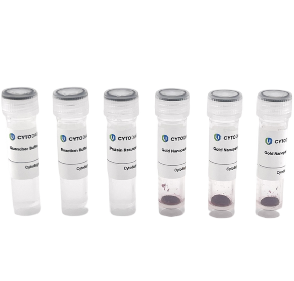 20nm NHS-Activated Gold Nanoparticle Conjugation Kit (3 Reactions)