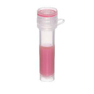 30nm Gold Nanoparticle Anti-Chicken IgY Conjugate