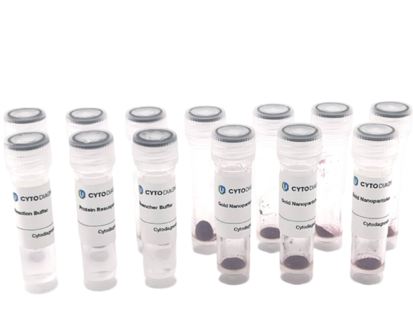 40nm NHS-Activated Gold Nanoparticle Conjugation Kit (10 Reactions)