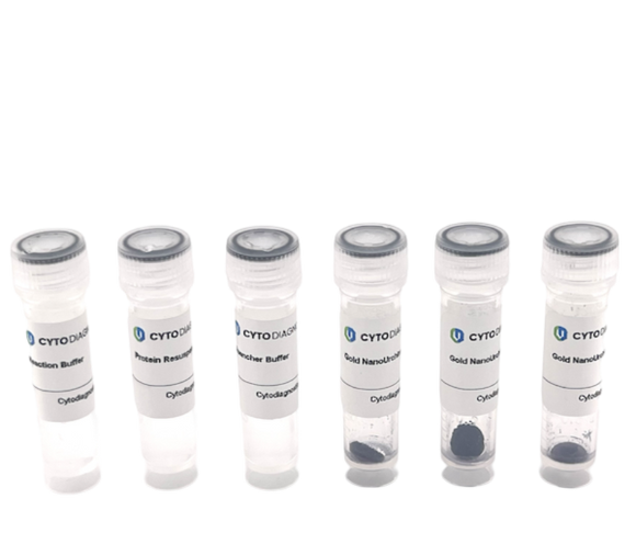 80nm Maleimide-Activated Gold NanoUrchins Conjugation Kit (3 Reactions)