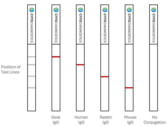 (i) Passive Adsorption Kits Conjugation QC Lateral Flow Dipstick Kit