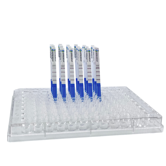 Lateral Flow Assay Product - 015nm 10nm