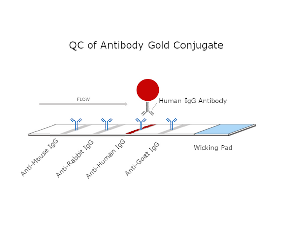 Multi-Well Conjugation Kit - 100nm 05nm 10nm